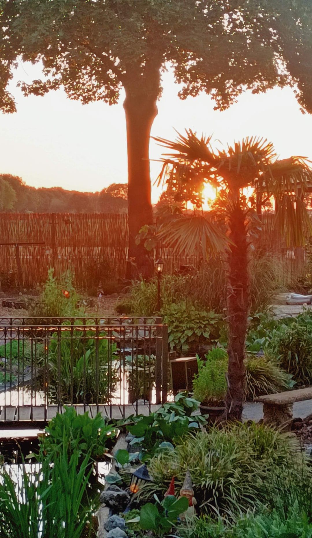 Foto 116 van Laageindsbroek 8