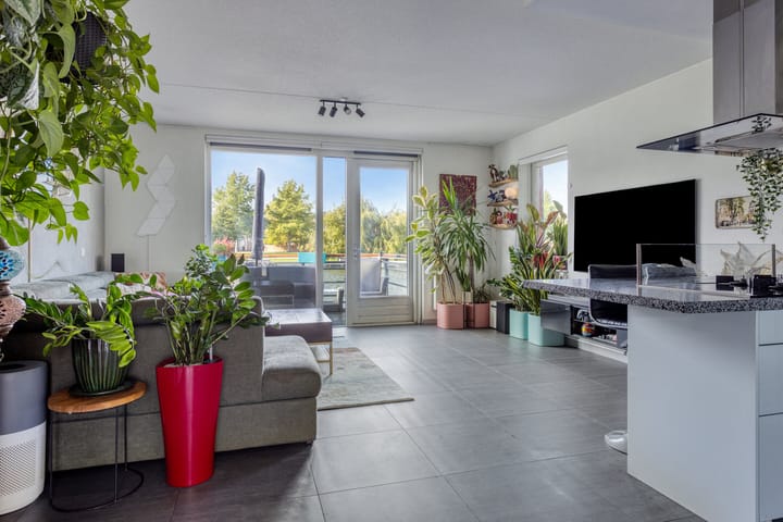 Photo 7 of Arènpalmstraat 16