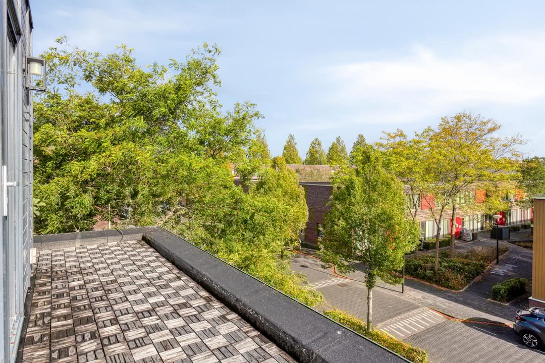 Foto 31 van Arènpalmstraat 16