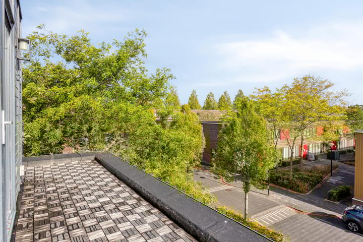 Photo 31 of Arènpalmstraat 16