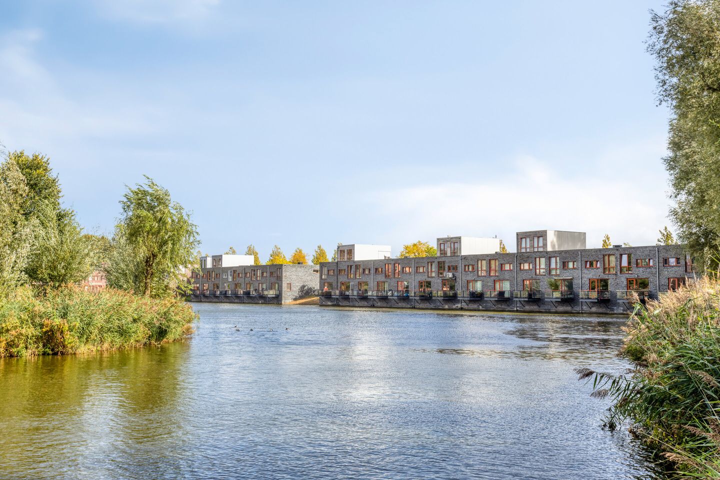 Foto 34 van Arènpalmstraat 16