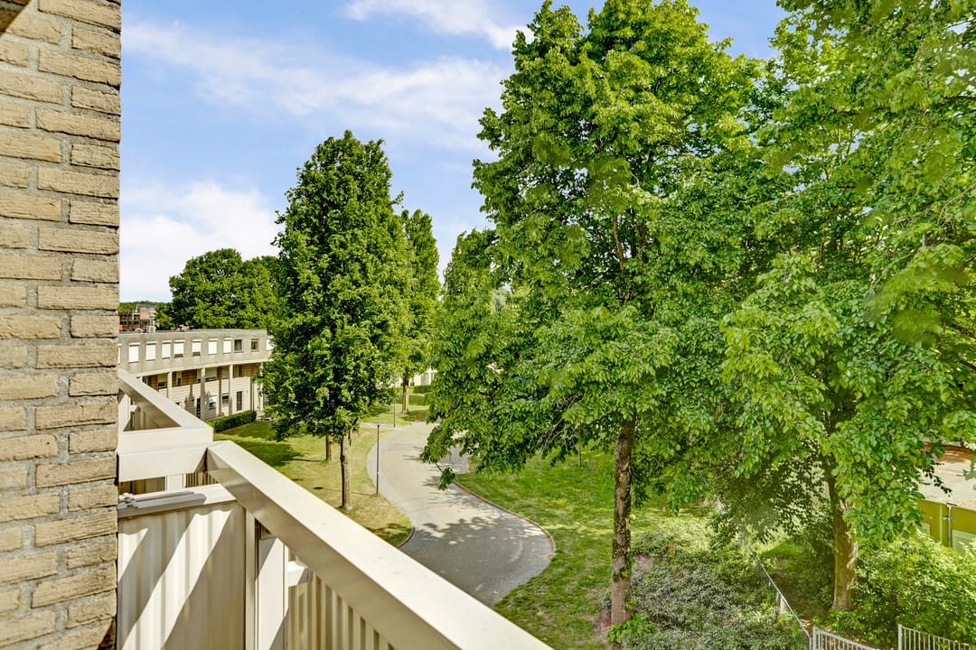 Foto 8 van Bijsterveld 15