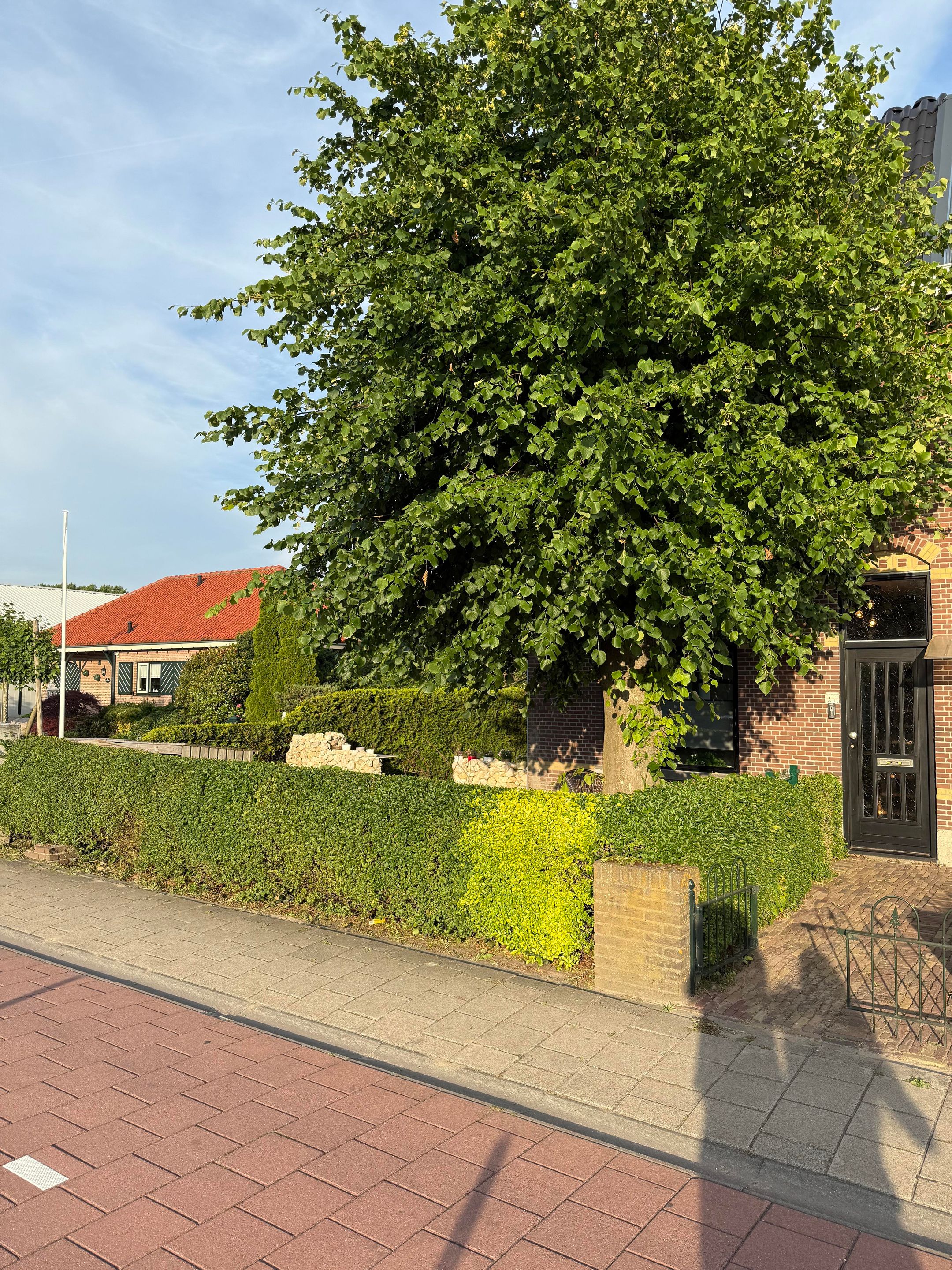 Photo 12 of Nieuweweg 77