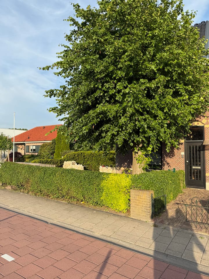 Photo 12 of Nieuweweg 77