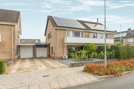 undefined main image