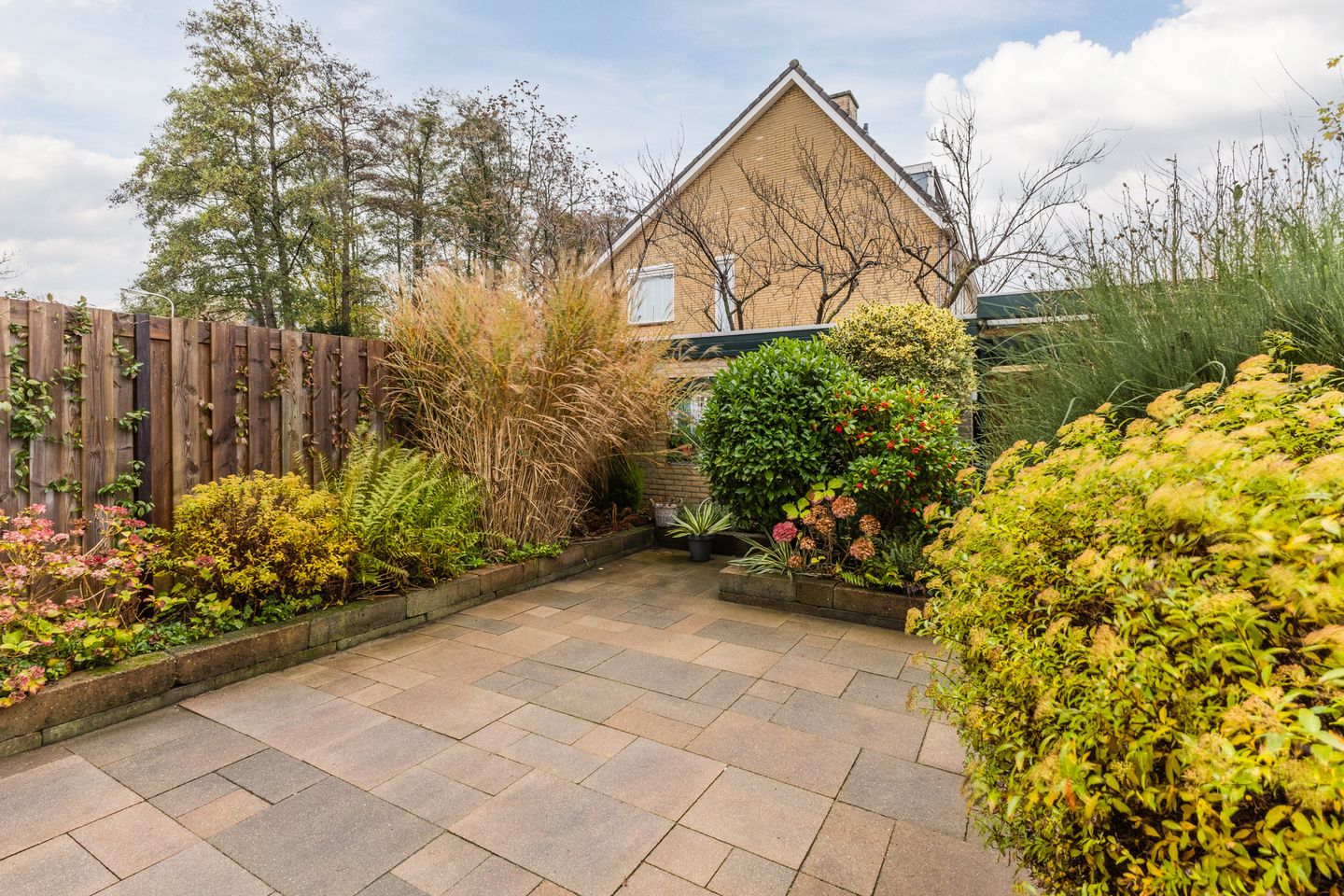 Foto 4 van Botter 24