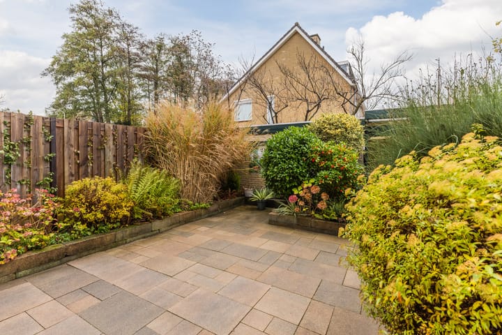 Foto 4 van Botter 24