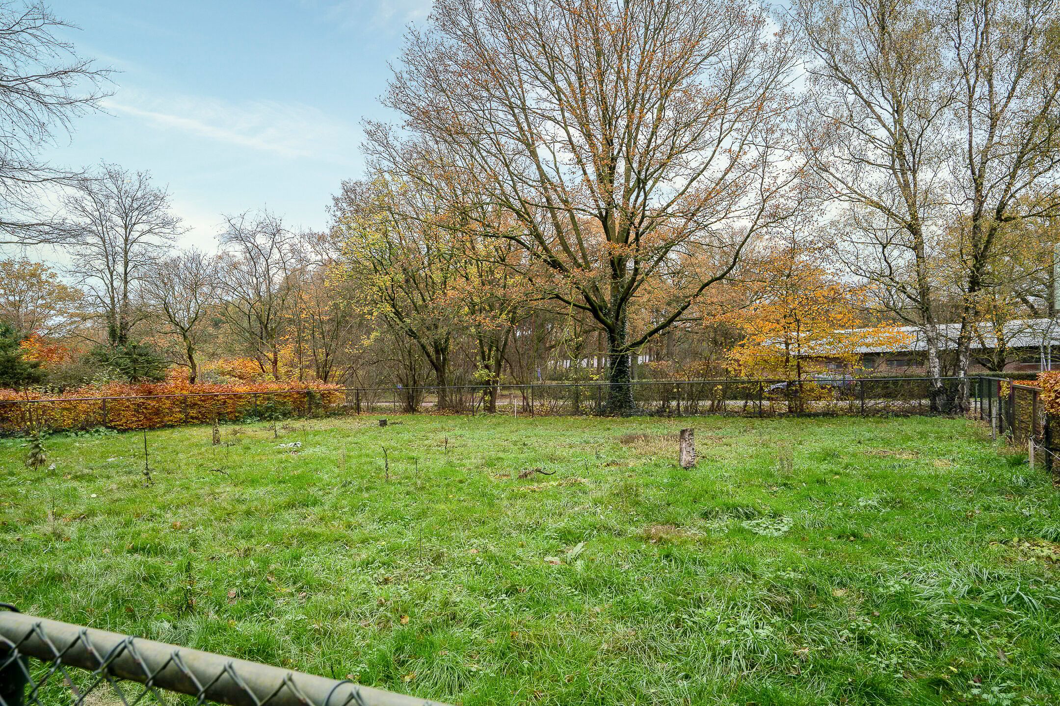 Photo 6 of Hazeldonkseweg 5