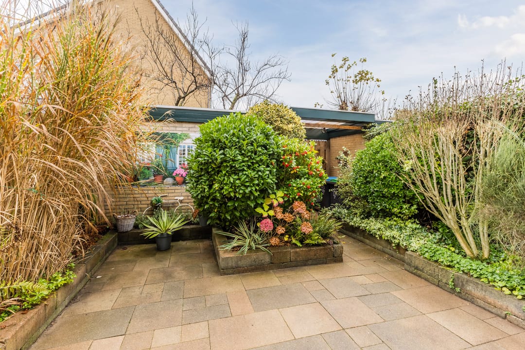 Foto 28 van Botter 24