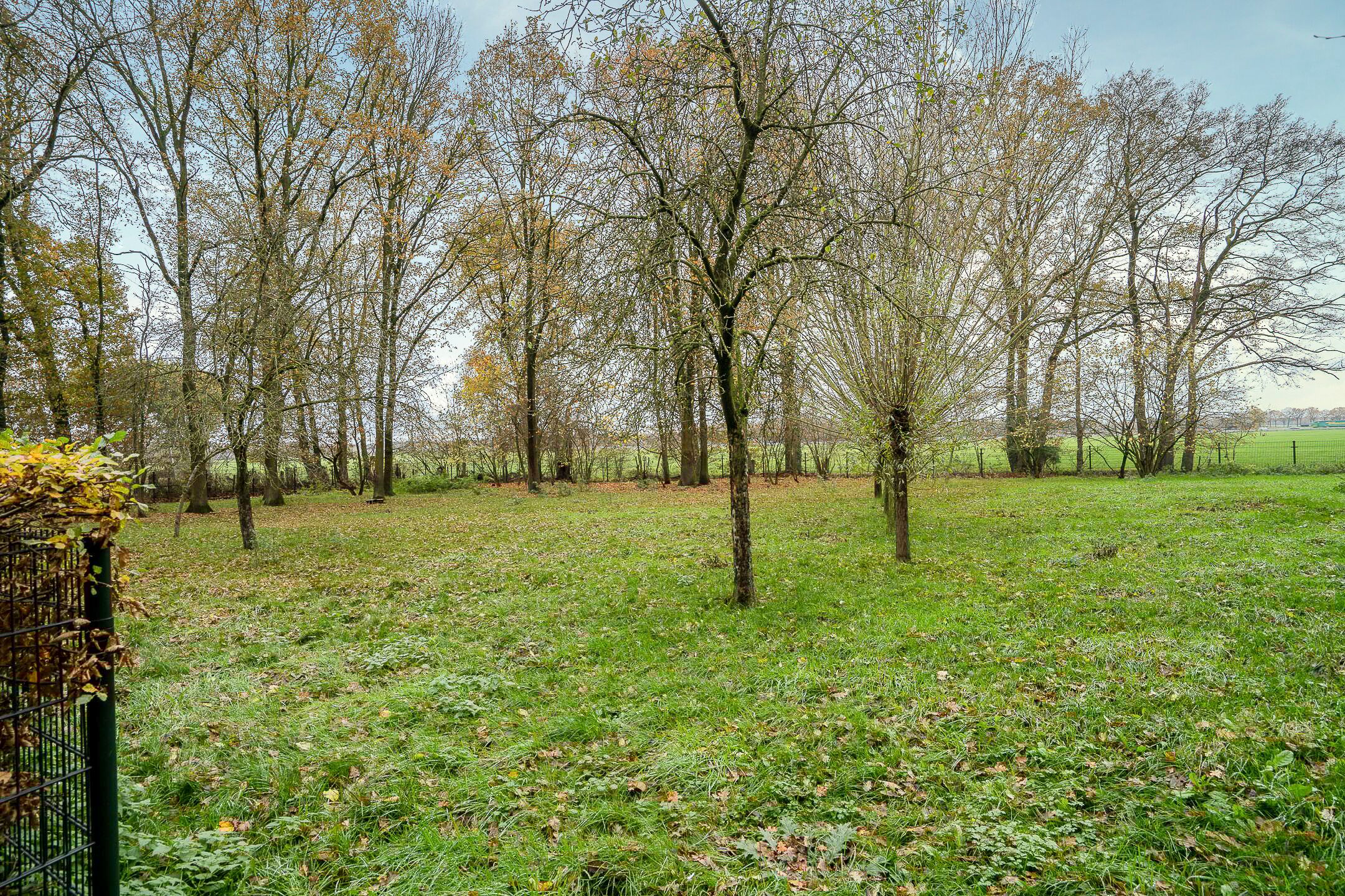 Photo 24 of Hazeldonkseweg 5