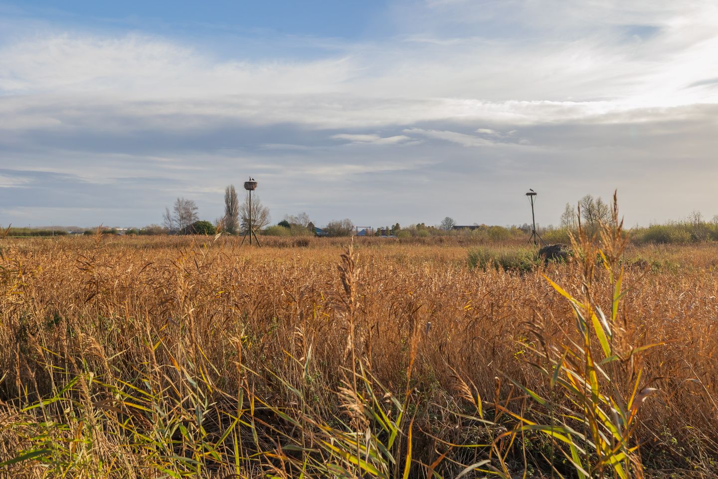 Foto 35 van Fazantenlaan 49