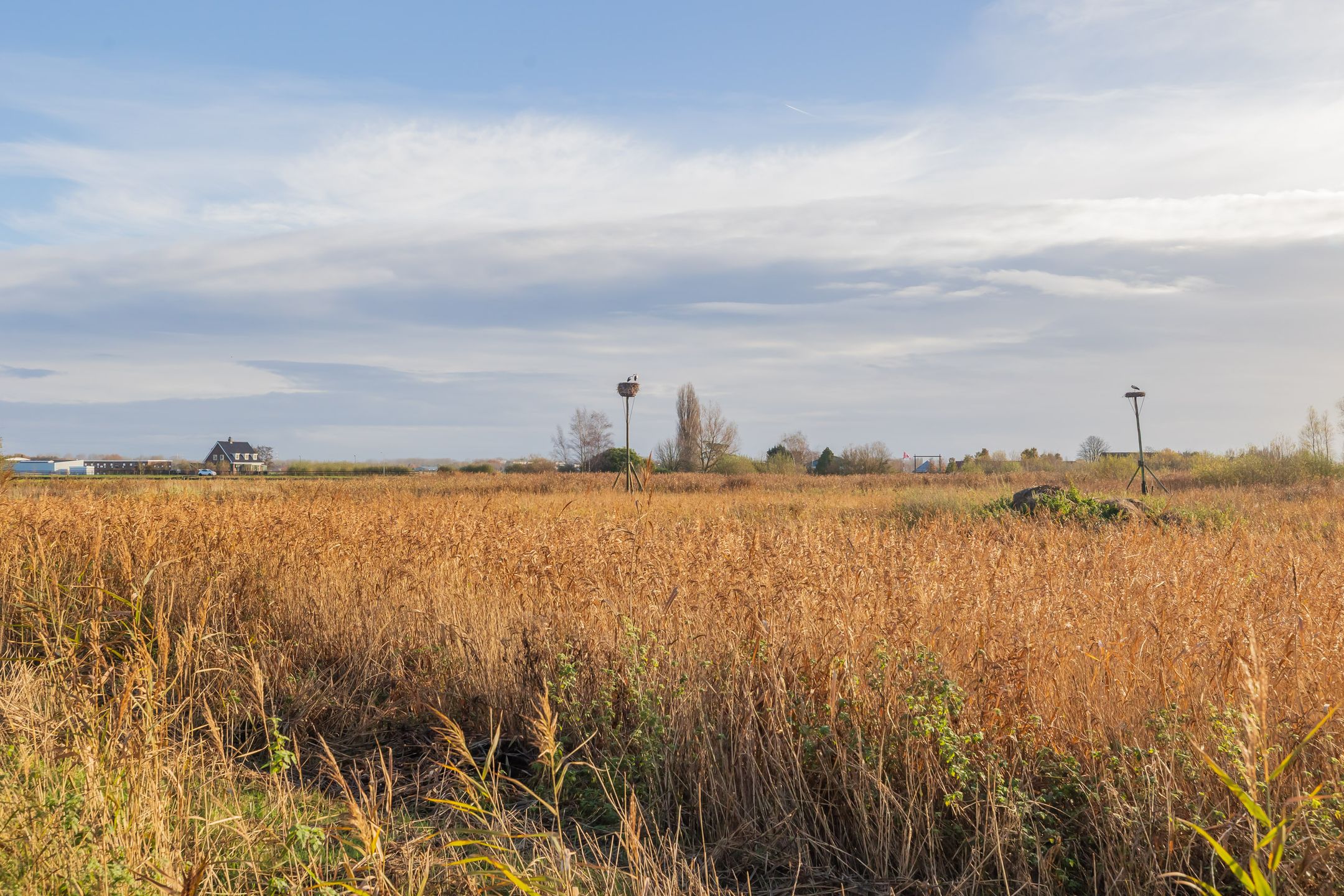 Foto 36 van Fazantenlaan 49