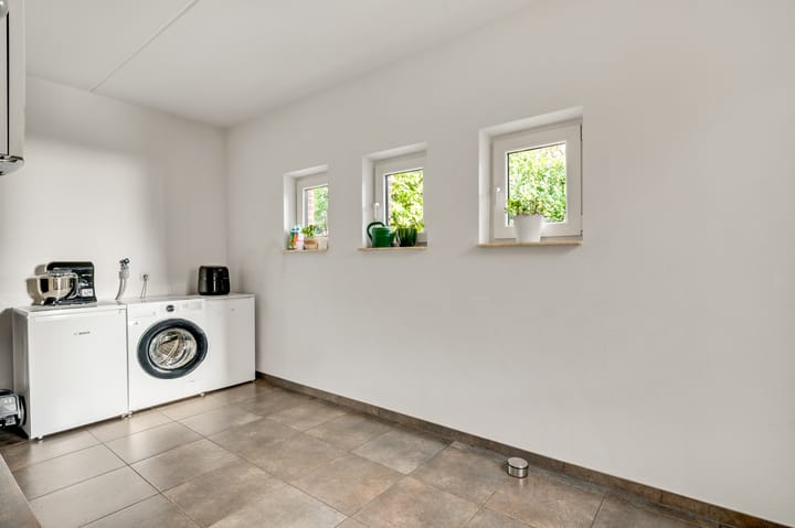 Photo 19 of Noenever 26