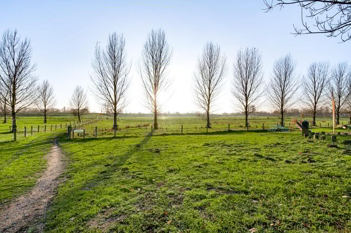 Photo 42 of Noenever 26