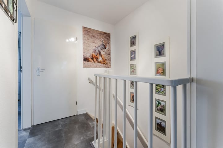 Foto 12 van Dassenbos 254