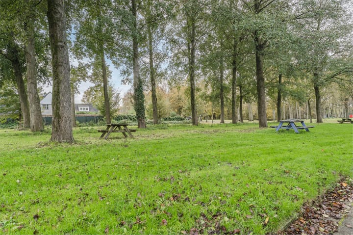 Foto 36 van Dassenbos 254