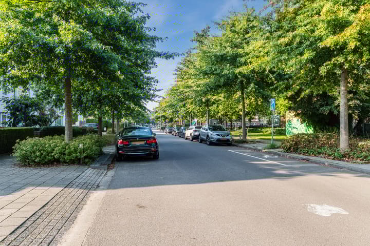 Foto 52 van Schout Backstraat 18