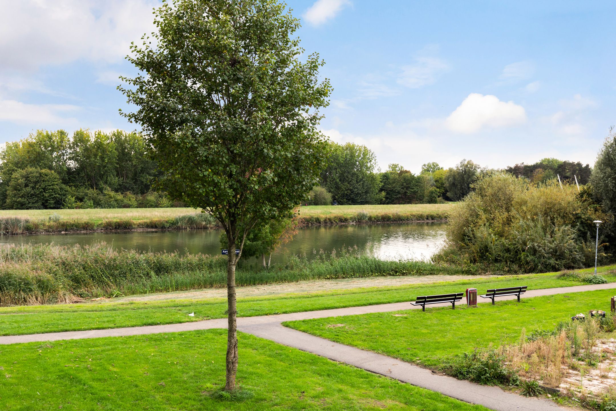 Photo 18 of Beekmanstraat 61