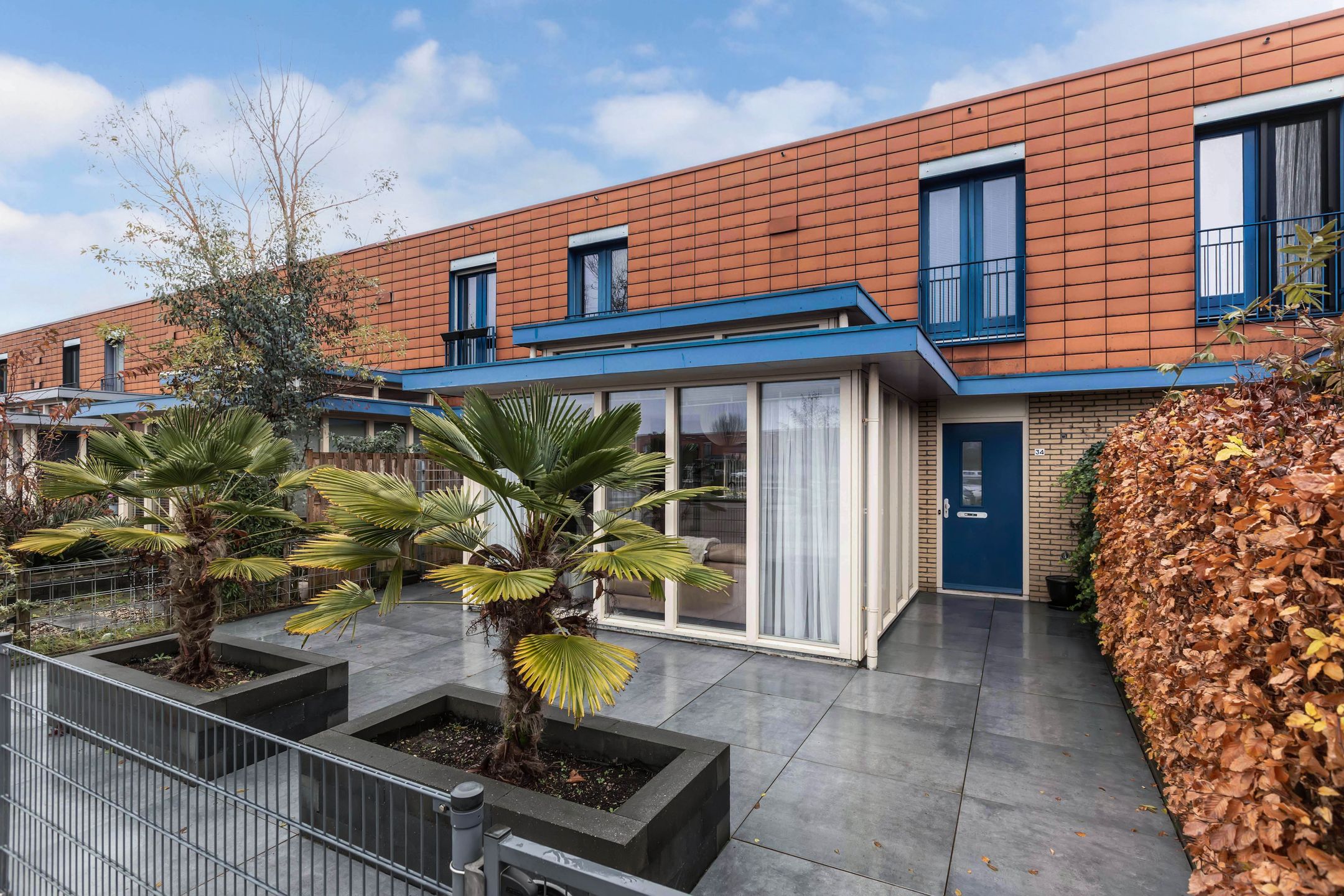 Foto 9 van Zuidewijn 34