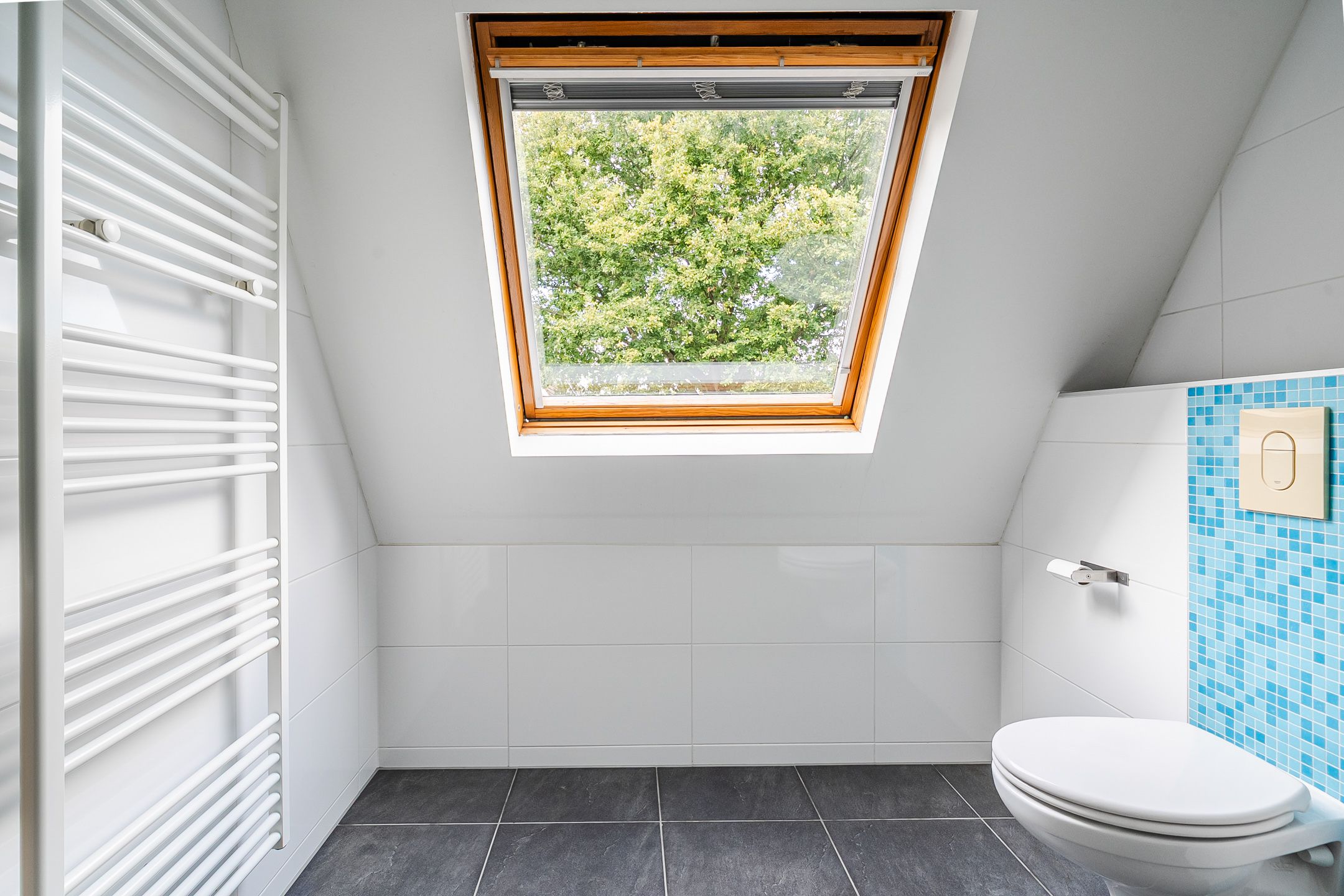 Foto 27 van Turkoois 12