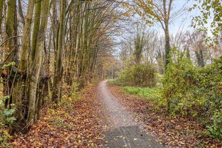 Photo 21 of Tuinderswerf 56