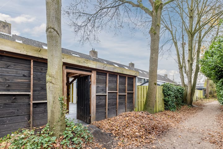 Foto 27 van Vlasland 49