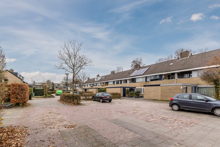 Foto 31 van Vlasland 49