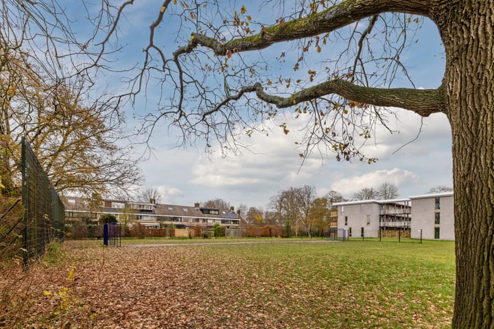 Foto 33 van Vlasland 49