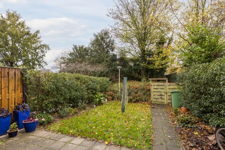 Photo 30 of Omloop 16