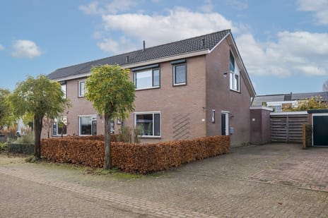 undefined main image