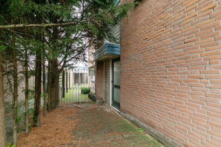 Photo 7 of Papeweer 1