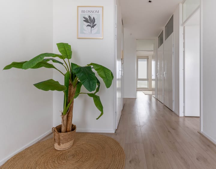 Foto 19 van Brandingdijk 420