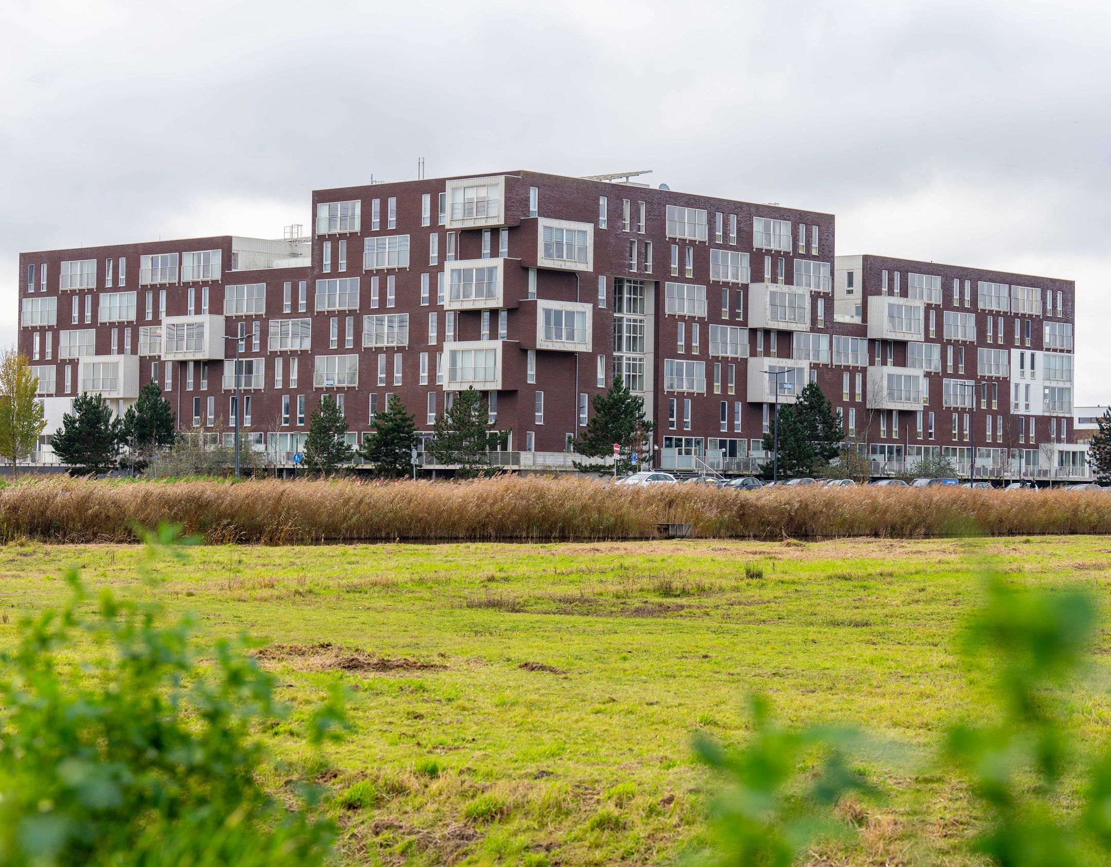 Foto 27 van Brandingdijk 420