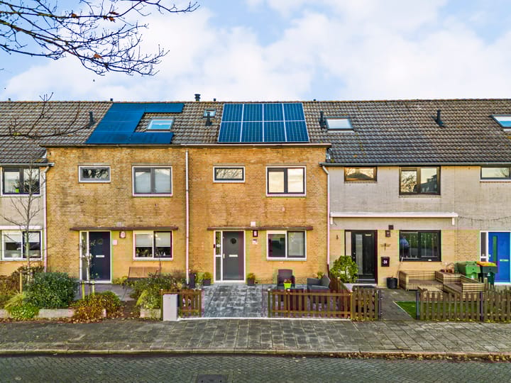 Foto 1 van Zeeschildpad 26