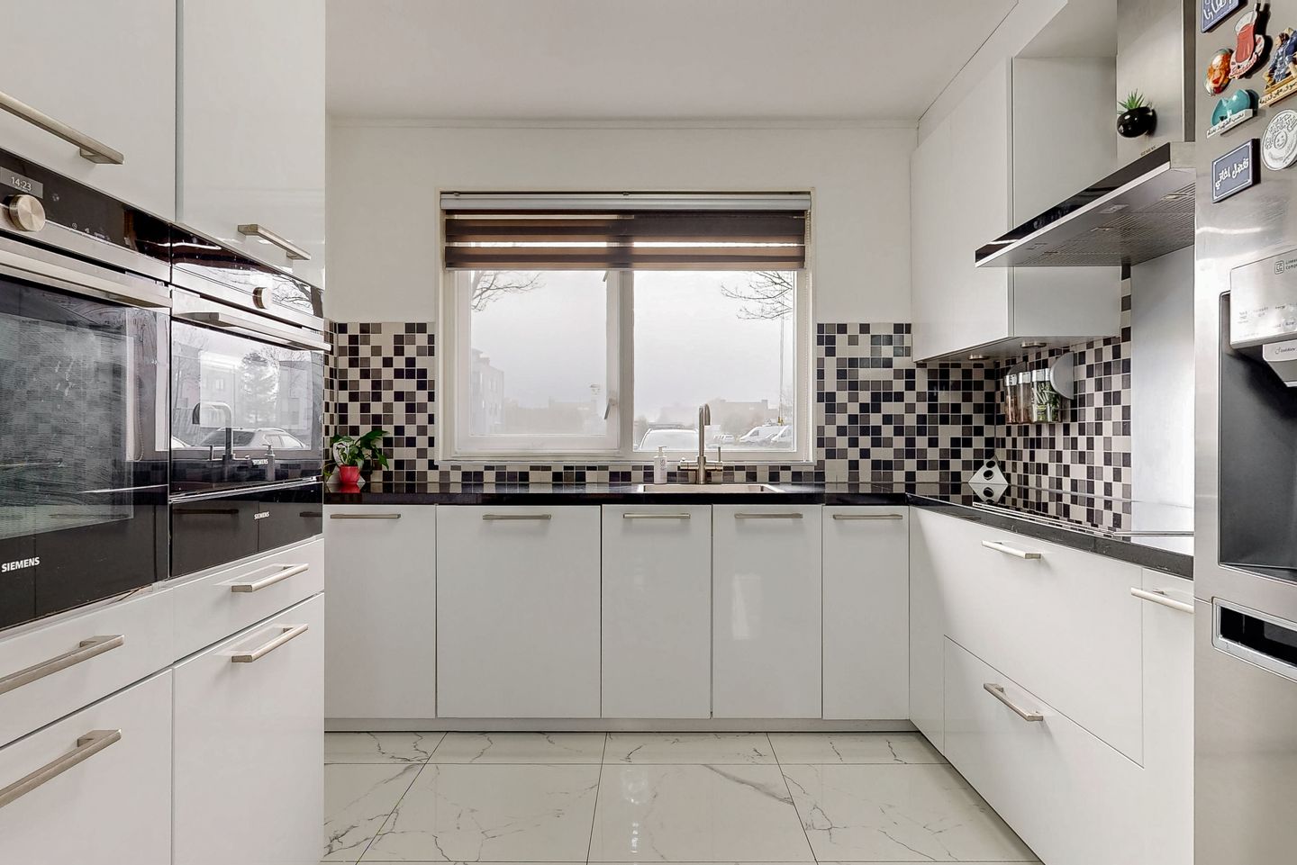 Foto 4 van Zeeschildpad 26