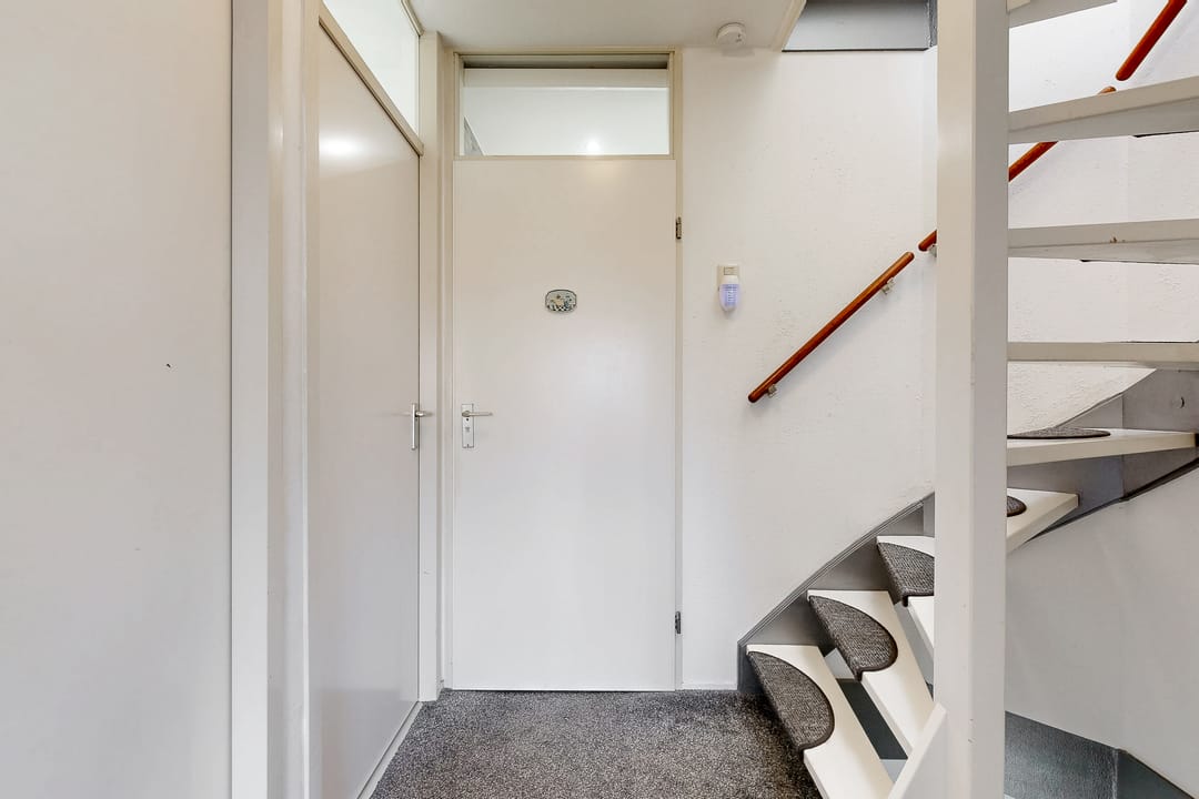 Foto 11 van Zeeschildpad 26