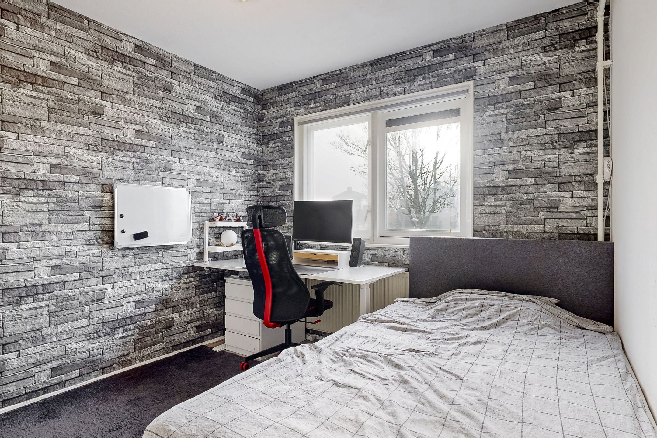 Foto 15 van Zeeschildpad 26