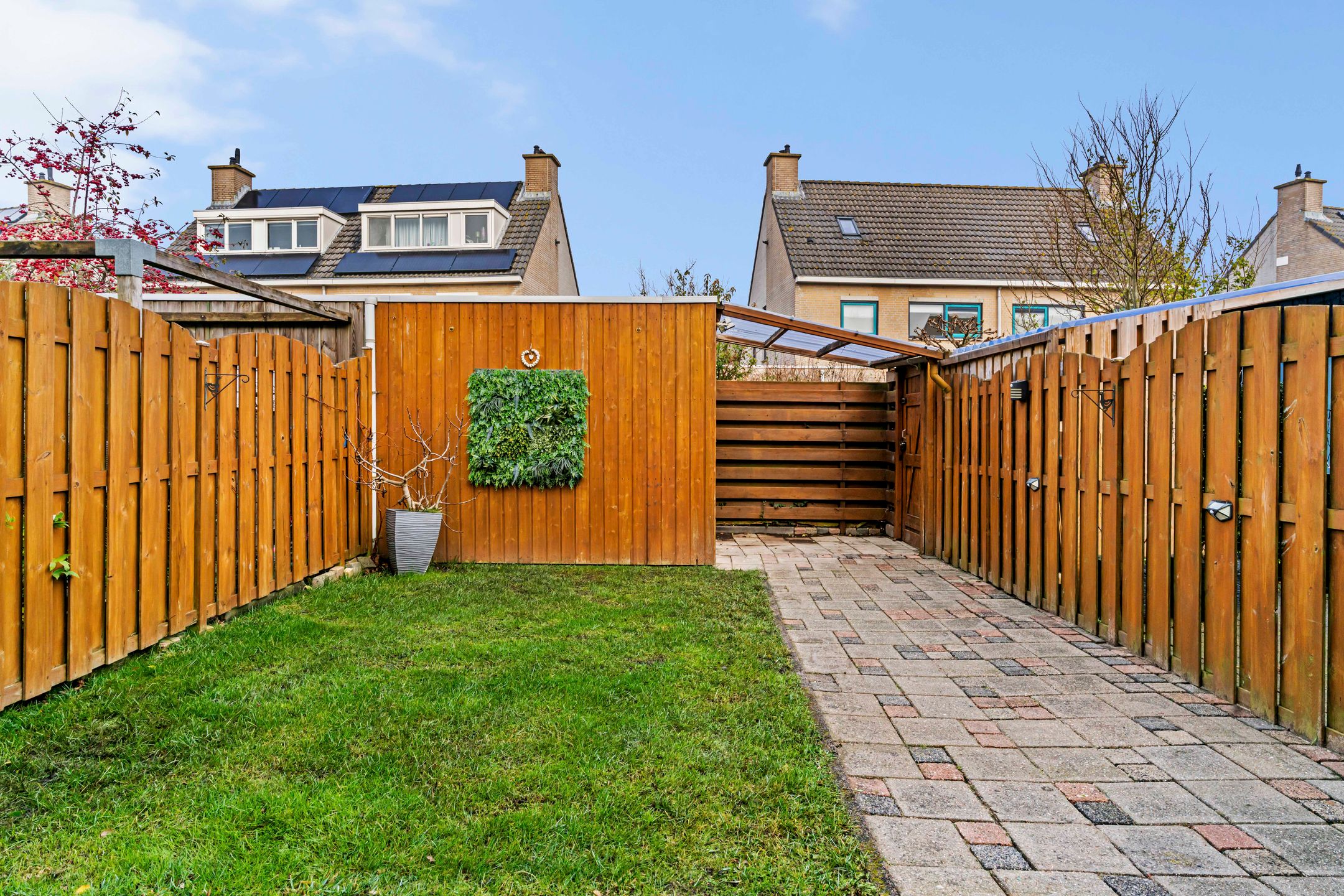 Foto 24 van Zeeschildpad 26