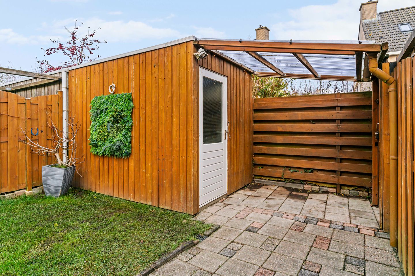 Foto 25 van Zeeschildpad 26