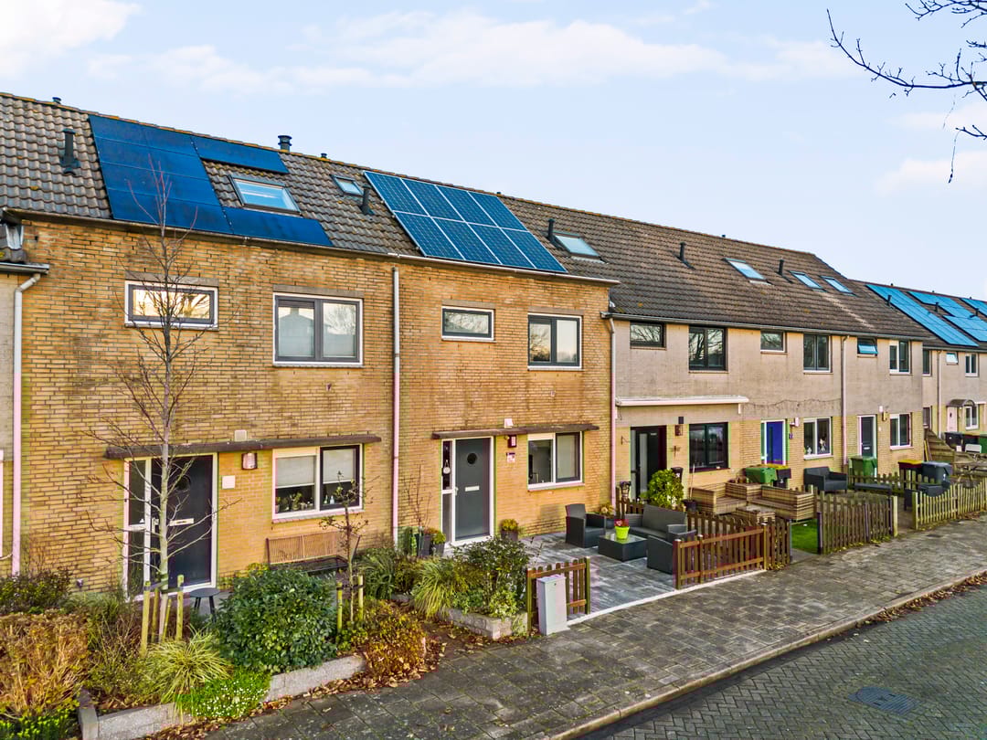 Foto 1 van Zeeschildpad 26