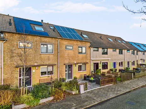 Zeeschildpad thumbnail