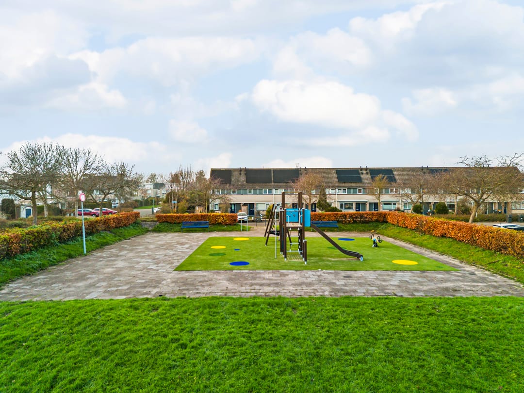 Foto 31 van Zeeschildpad 26