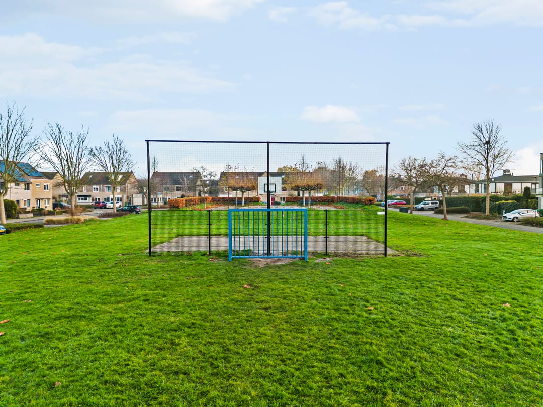 Foto 32 van Zeeschildpad 26