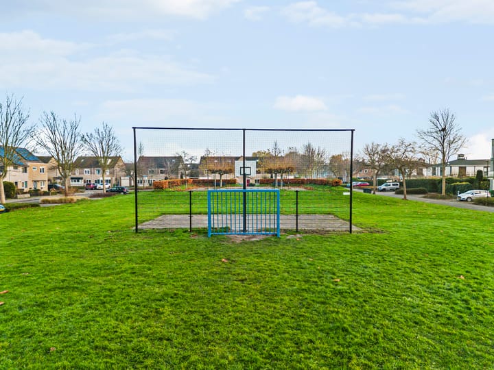 Foto 32 van Zeeschildpad 26