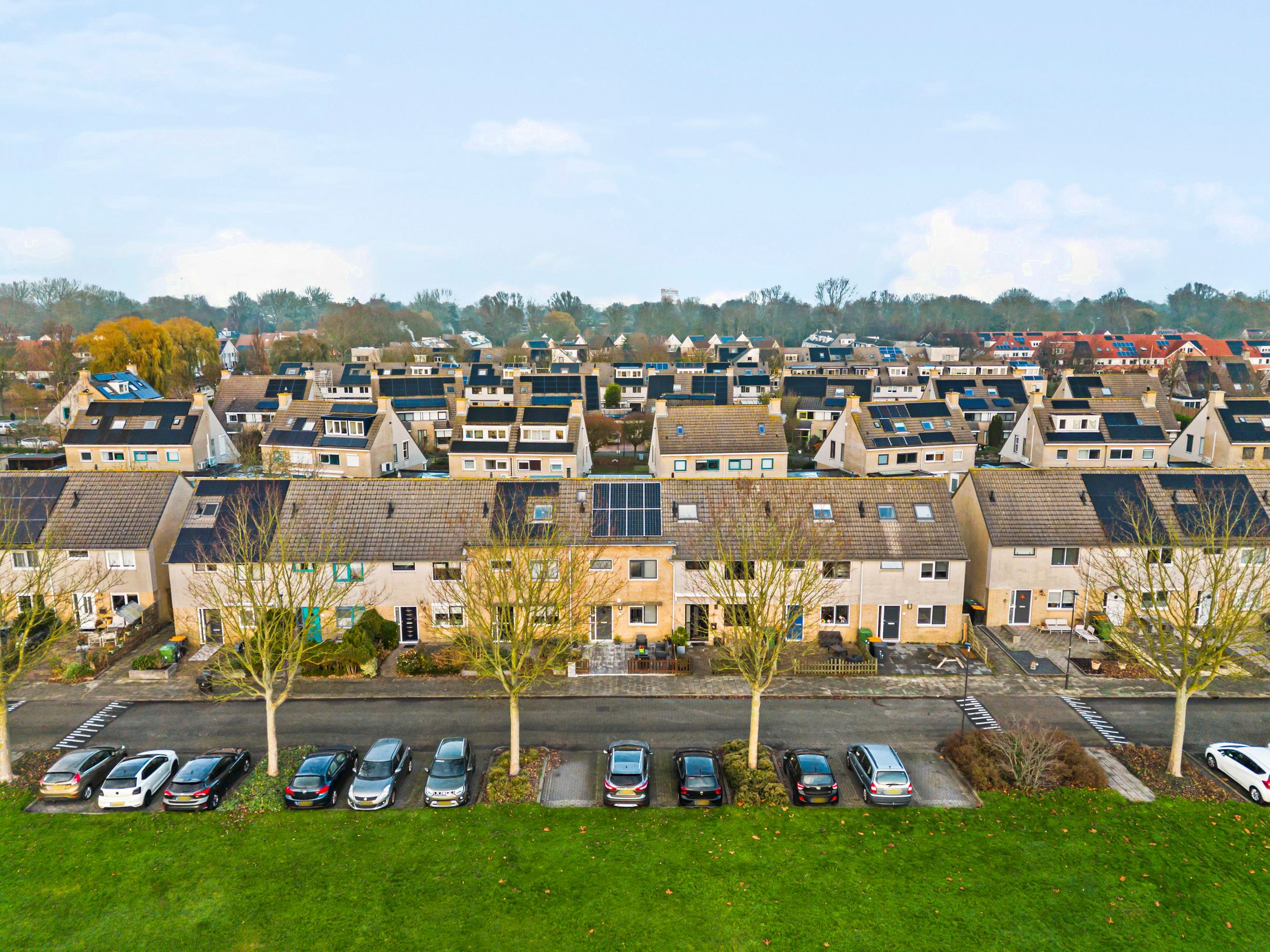 Foto 36 van Zeeschildpad 26