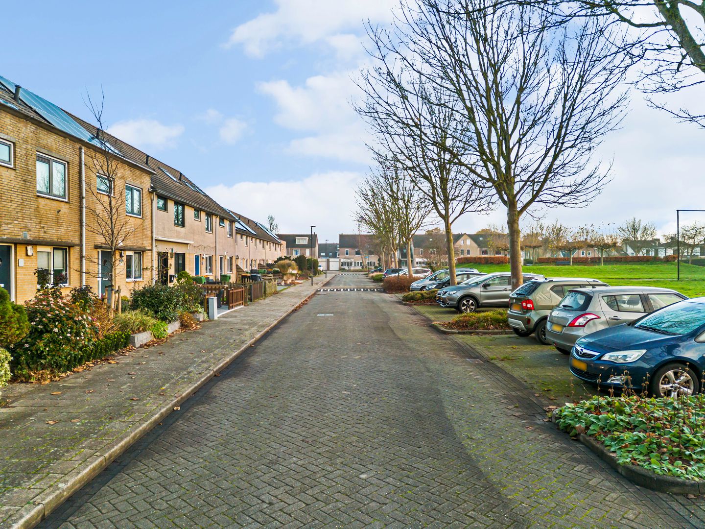 Foto 35 van Zeeschildpad 26