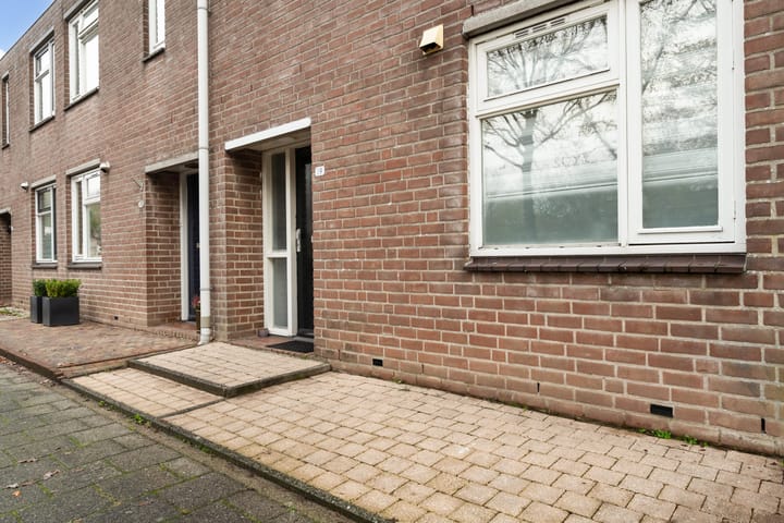 Photo 6 of Mandenvlechter 19