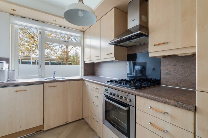 Photo 20 of Mandenvlechter 19