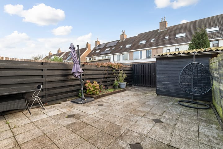 Photo 25 of Mandenvlechter 19