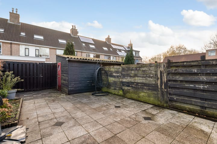 Photo 26 of Mandenvlechter 19